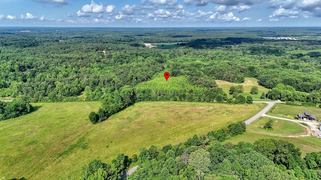 0 Ables Rd, Cottage Grove, TN 38224 - photo 3