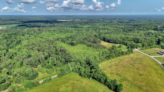 0 Ables Rd, Cottage Grove, TN 38224 - photo 7