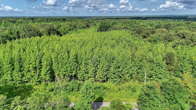0 Ables Rd, Cottage Grove, TN 38224 - photo 10