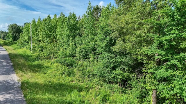 0 Ables Rd, Cottage Grove, TN 38224 - photo 13