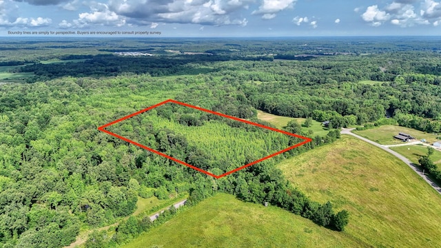 0 Ables Rd, Cottage Grove, TN 38224 - photo 2