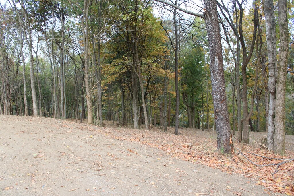 2017 Wild Cherry Dr, Lewisburg, TN 37091 - photo 4