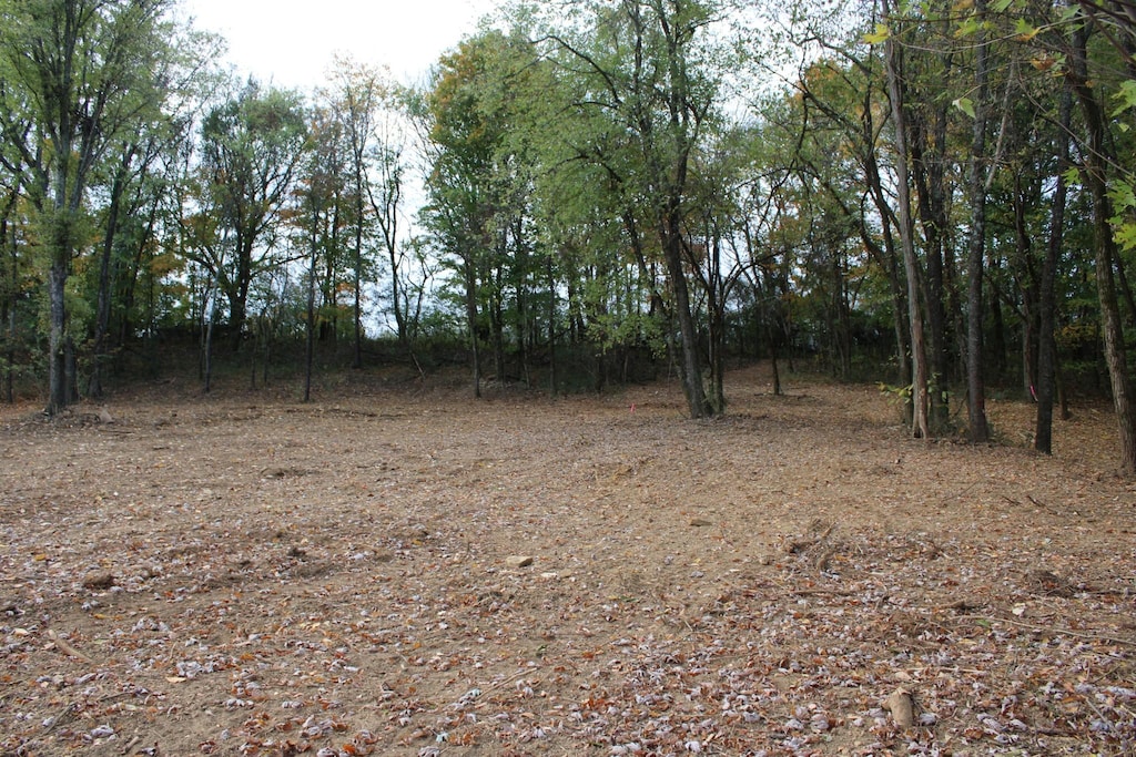 2017 Wild Cherry Dr, Lewisburg, TN 37091 - photo 3
