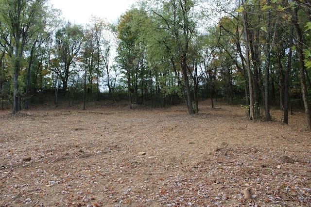 2017 Wild Cherry Dr, Lewisburg, TN 37091 - photo 3
