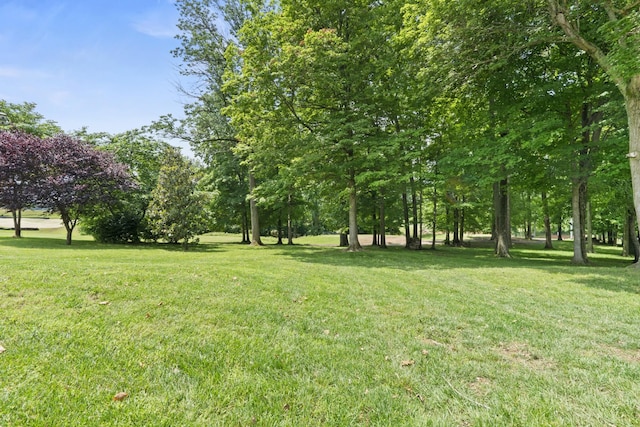 3615 Legacy Dr, Springfield, TN 37172 - view of grassy yard