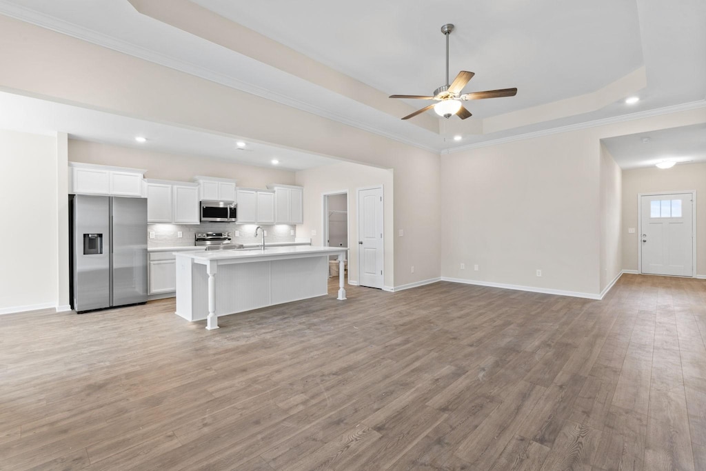 1129 Bluecreek Cir, Murfreesboro, TN 37129 - kitchen with appliances with stainless steel finishes, open floor plan, a tray ceiling, ceiling fan, and recessed lighting