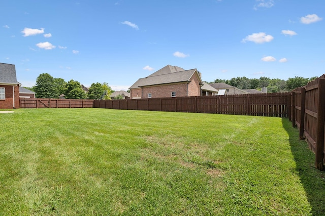 4322 Thoroughbred Ln, Murfreesboro, TN 37127 - view of yard