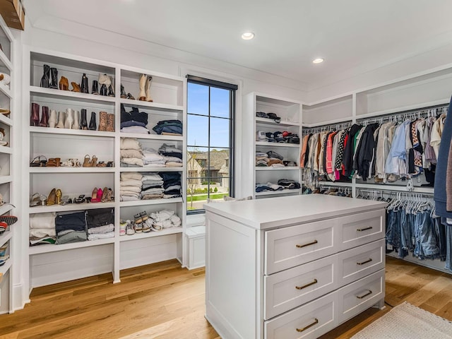 9021 Passiflora Ct, College Grove, TN 37046 - spacious closet featuring light wood-type flooring