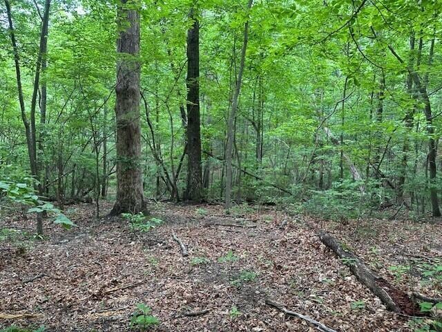 72 Water View Ln, Monteagle, TN 37356