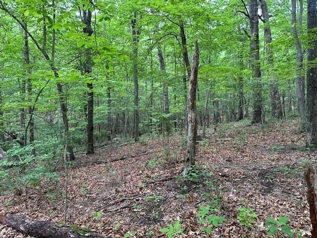 72 Water View Ln, Monteagle, TN 37356