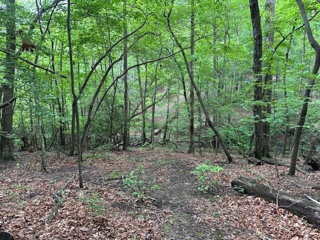 72 Water View Ln, Monteagle, TN 37356