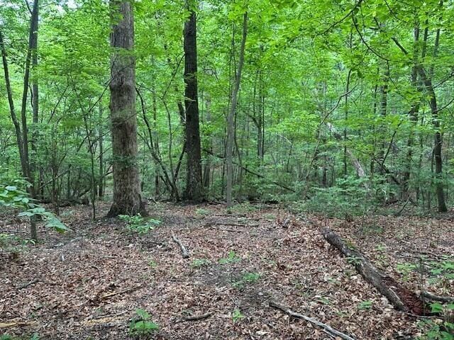 72 Water View Ln, Monteagle, TN 37356