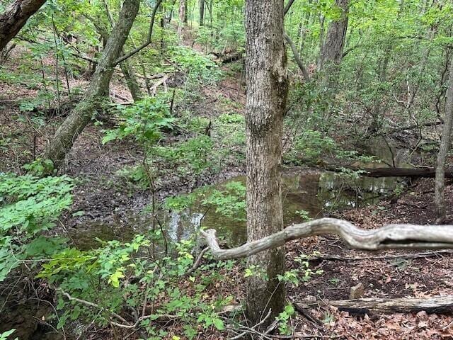 72 Water View Ln, Monteagle, TN 37356