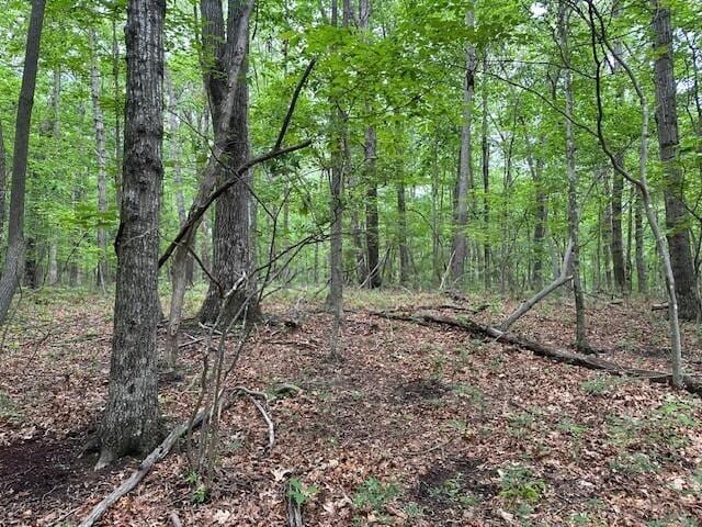 72 Water View Ln, Monteagle, TN 37356