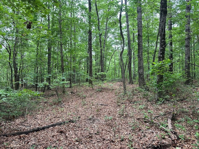 72 Water View Ln, Monteagle, TN 37356
