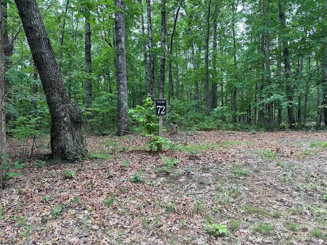 72 Water View Ln, Monteagle, TN 37356