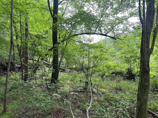 72 Water View Ln, Monteagle, TN 37356