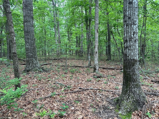 72 Water View Ln, Monteagle, TN 37356
