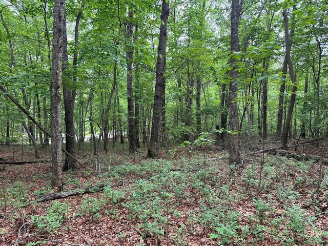 72 Water View Ln, Monteagle, TN 37356