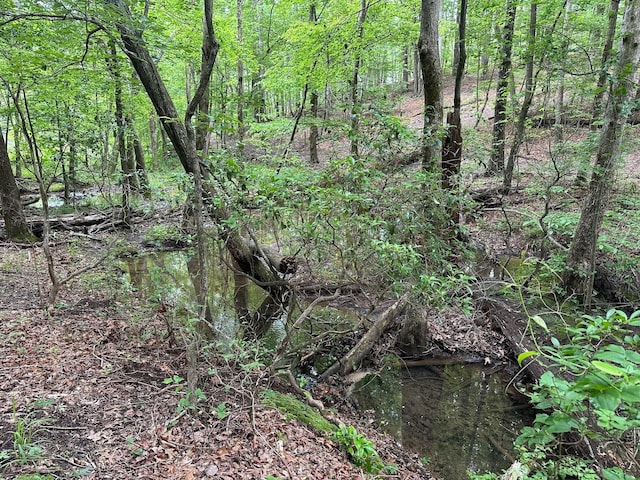 72 Water View Ln, Monteagle, TN 37356