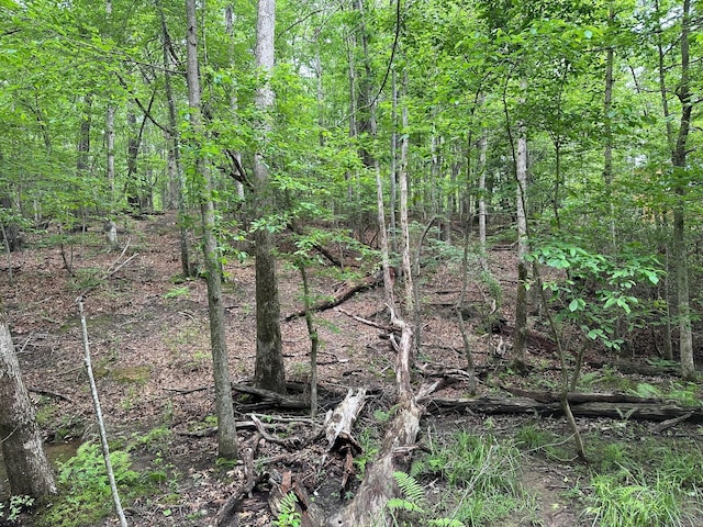72 Water View Ln, Monteagle, TN 37356