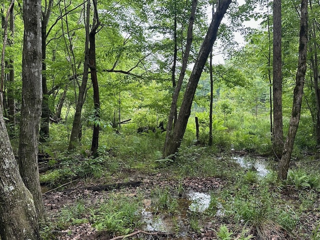 72 Water View Ln, Monteagle, TN 37356