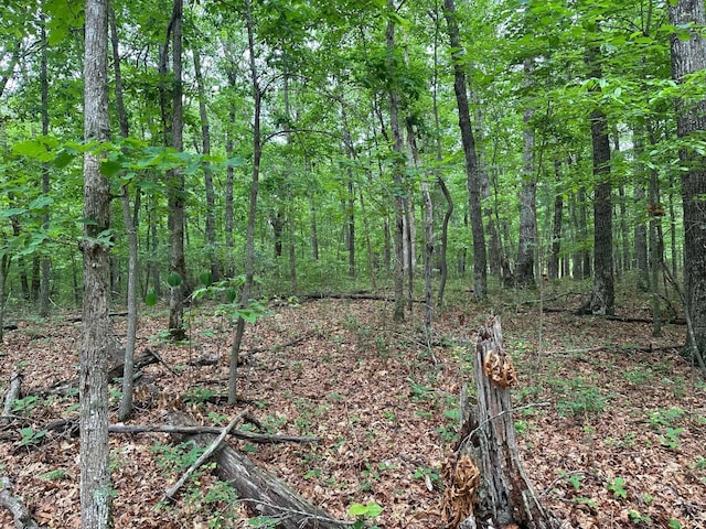 72 Water View Ln, Monteagle, TN 37356