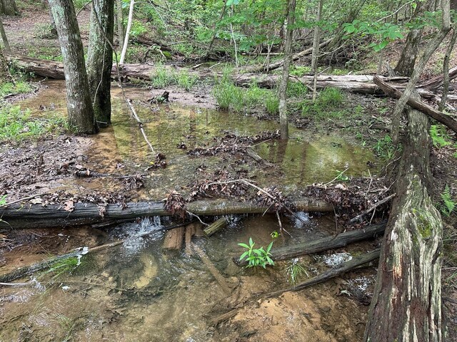 72 Water View Ln, Monteagle, TN 37356