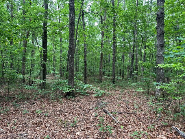72 Water View Ln, Monteagle, TN 37356