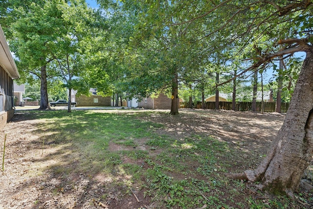 3031 Hartford Dr, Murfreesboro, TN 37129 - view of yard