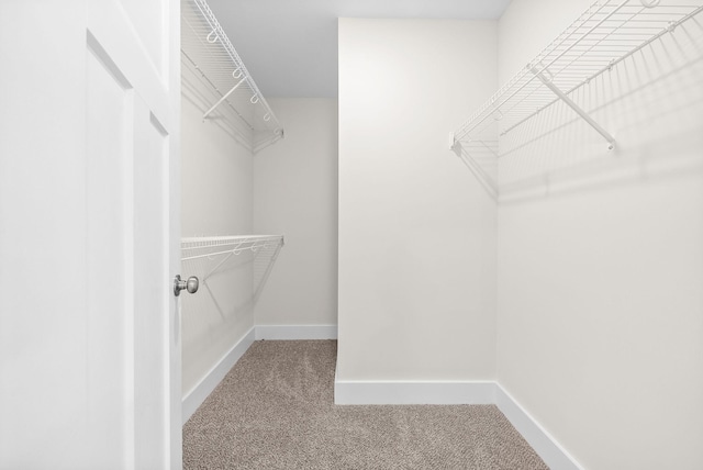 1928 Flats Rd, Cunningham, TN 37052 - walk in closet featuring carpet