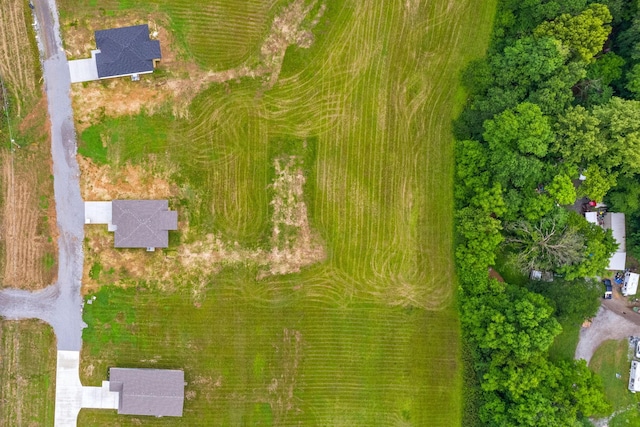 1928 Flats Rd, Cunningham, TN 37052 - aerial overview of property's location