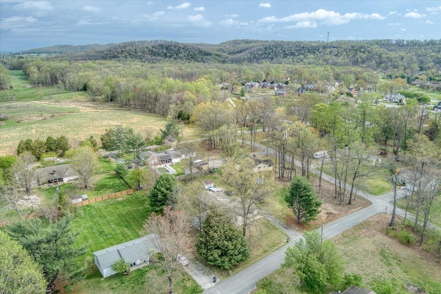 3382 Norfolk Dr, Cookeville, TN 38506 - photo 38