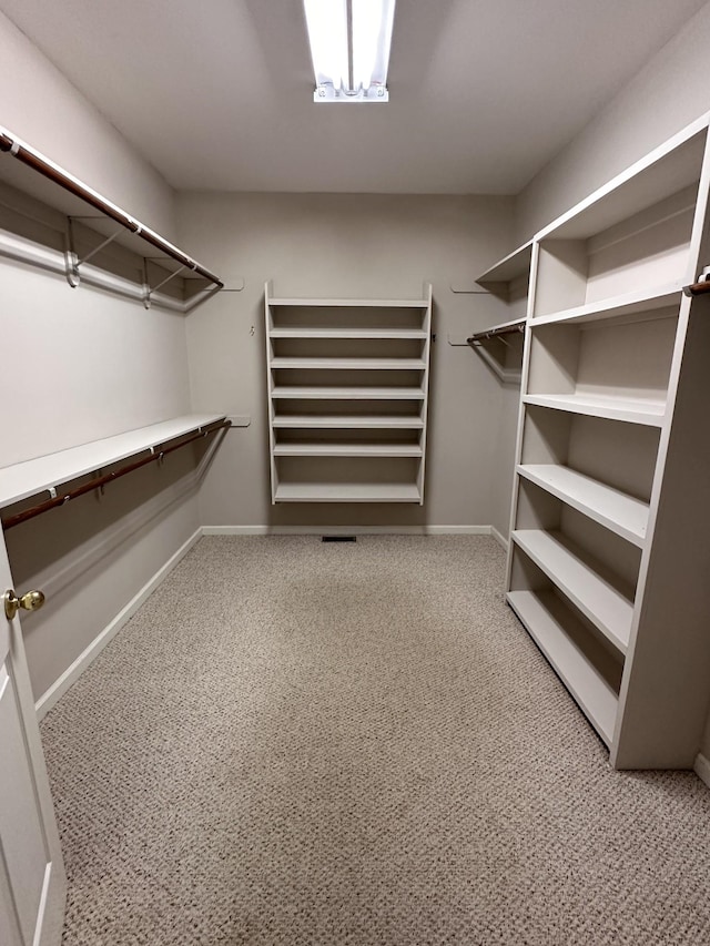 95 Dundee Cir, Mcminnville, TN 37110 - spacious closet with carpet floors