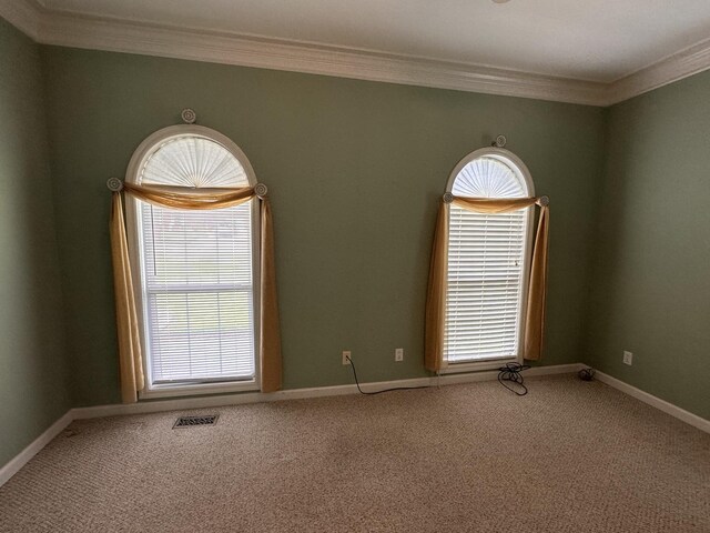 95 Dundee Cir, Mcminnville, TN 37110 - carpeted empty room featuring ornamental molding, plenty of natural light, and baseboards