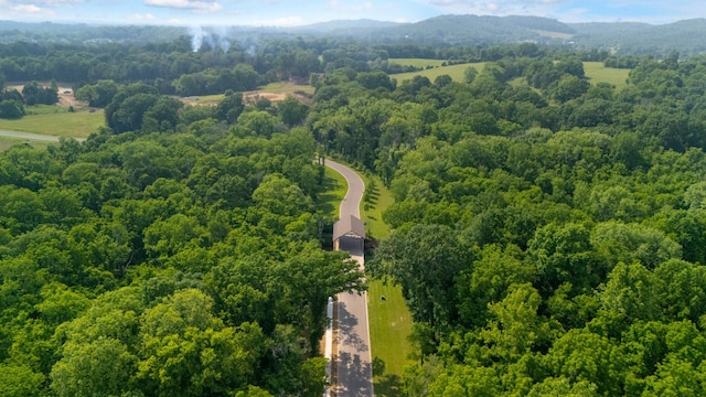 4761 Woodrow Pl, Arrington, TN 37014 - bird's eye view of a heavily wooded area