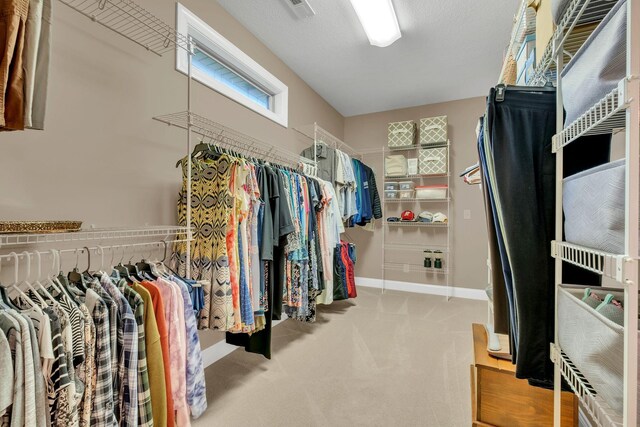 708 Valencia Dr, Clarksville, TN 37043 - photo 22