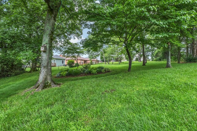 708 Valencia Dr, Clarksville, TN 37043 - photo 30