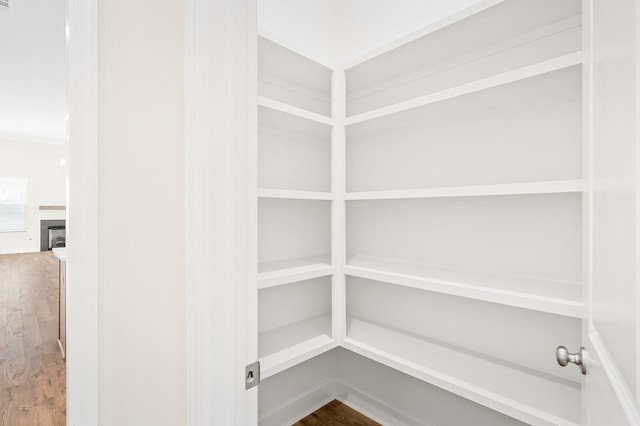 7503 Old Nashville Rd, Fairview, TN 37062 - view of storage area