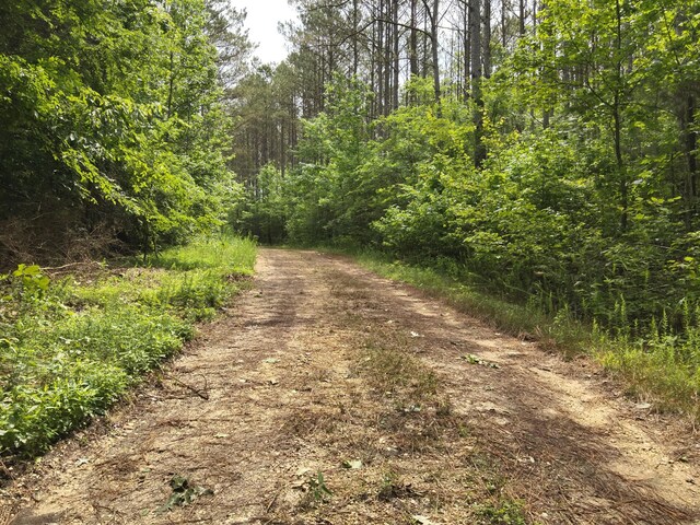 0 Blunt Rd, Decaturville, TN 38329 - photo 10