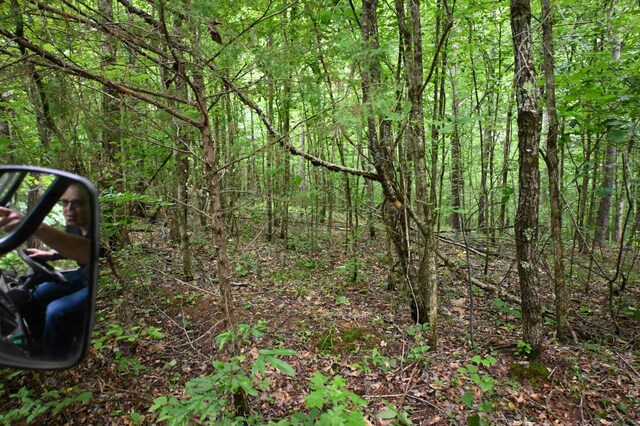0 Blunt Rd, Decaturville, TN 38329 - photo 22