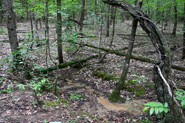 0 Blunt Rd, Decaturville, TN 38329 - photo 36