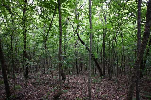 0 Blunt Rd, Decaturville, TN 38329 - photo 34