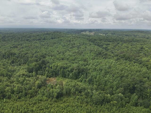 0 Blunt Rd, Decaturville, TN 38329 - photo 11