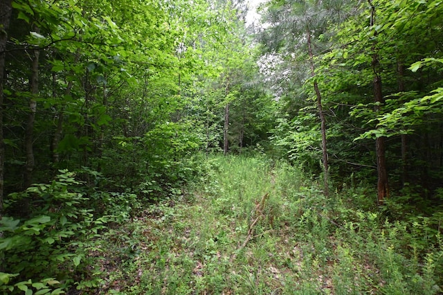 0 Blunt Rd, Decaturville, TN 38329 - photo 16