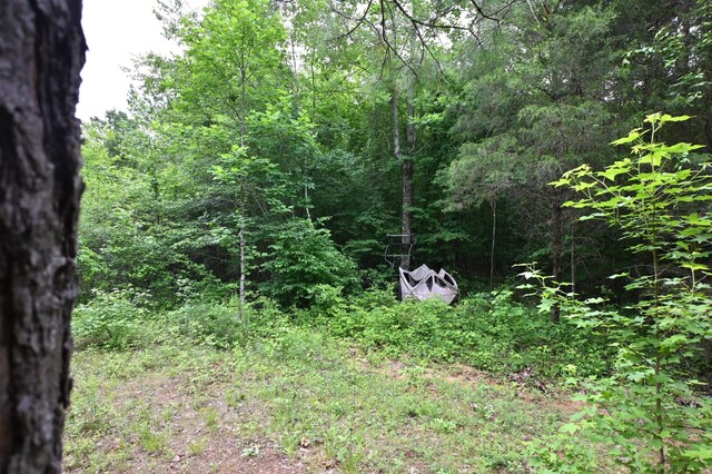 0 Blunt Rd, Decaturville, TN 38329 - photo 18