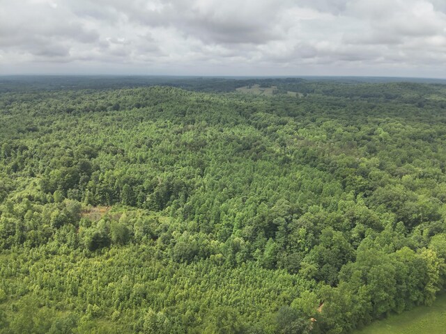0 Blunt Rd, Decaturville, TN 38329 - photo 44