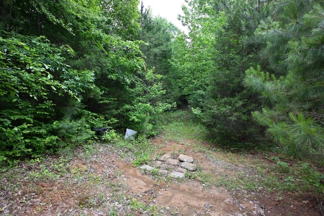 0 Blunt Rd, Decaturville, TN 38329 - photo 17