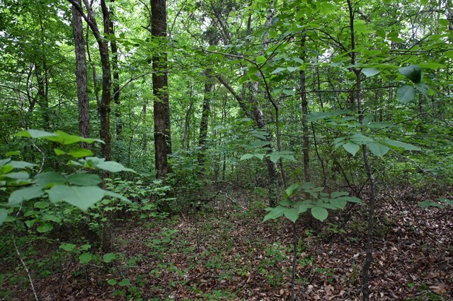 0 Blunt Rd, Decaturville, TN 38329 - photo 29