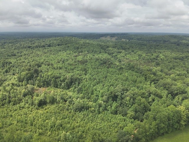 0 Blunt Rd, Decaturville, TN 38329 - photo 5